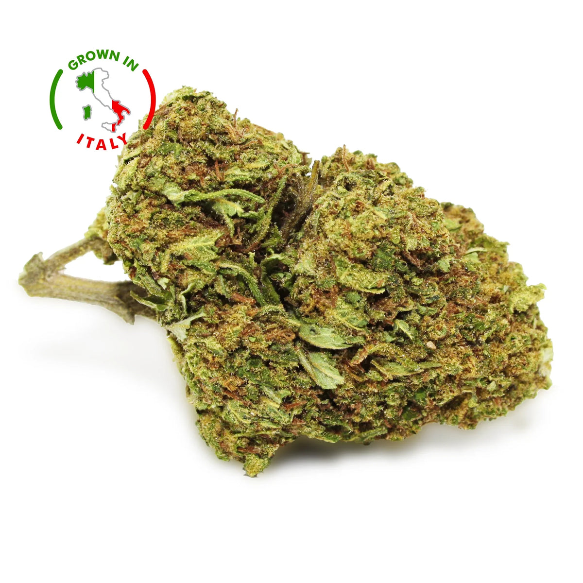 Fleur CBD Orange Buddha - Green House - Mon Petit Herbier