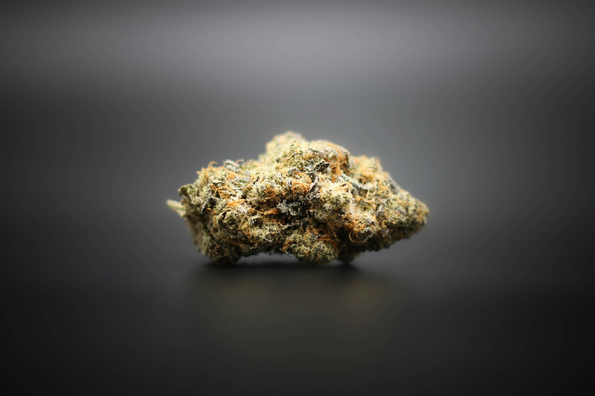 Peut-on consommer du CBD tous les jours ? - Mon Petit Herbier