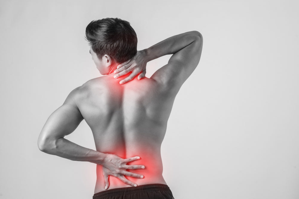 CBD et récupération musculaire : calmer les douleurs après le sport - Mon Petit Herbier