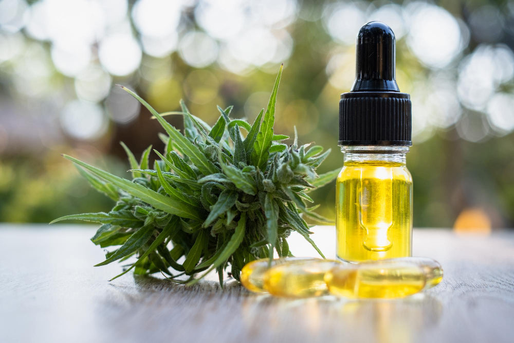 Le CBD est-il addictif ? Réponses et explications