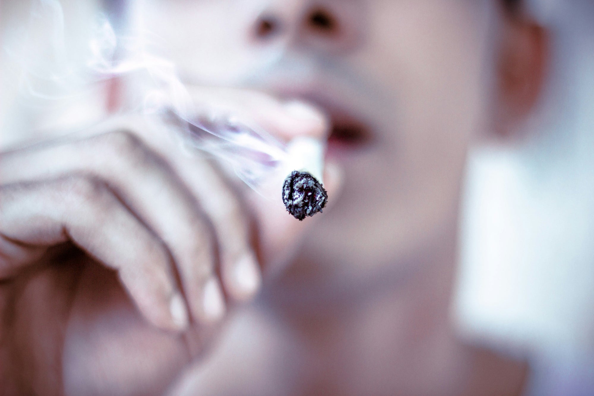 Combien de gramme de CBD pour un joint ? - Mon Petit Herbier