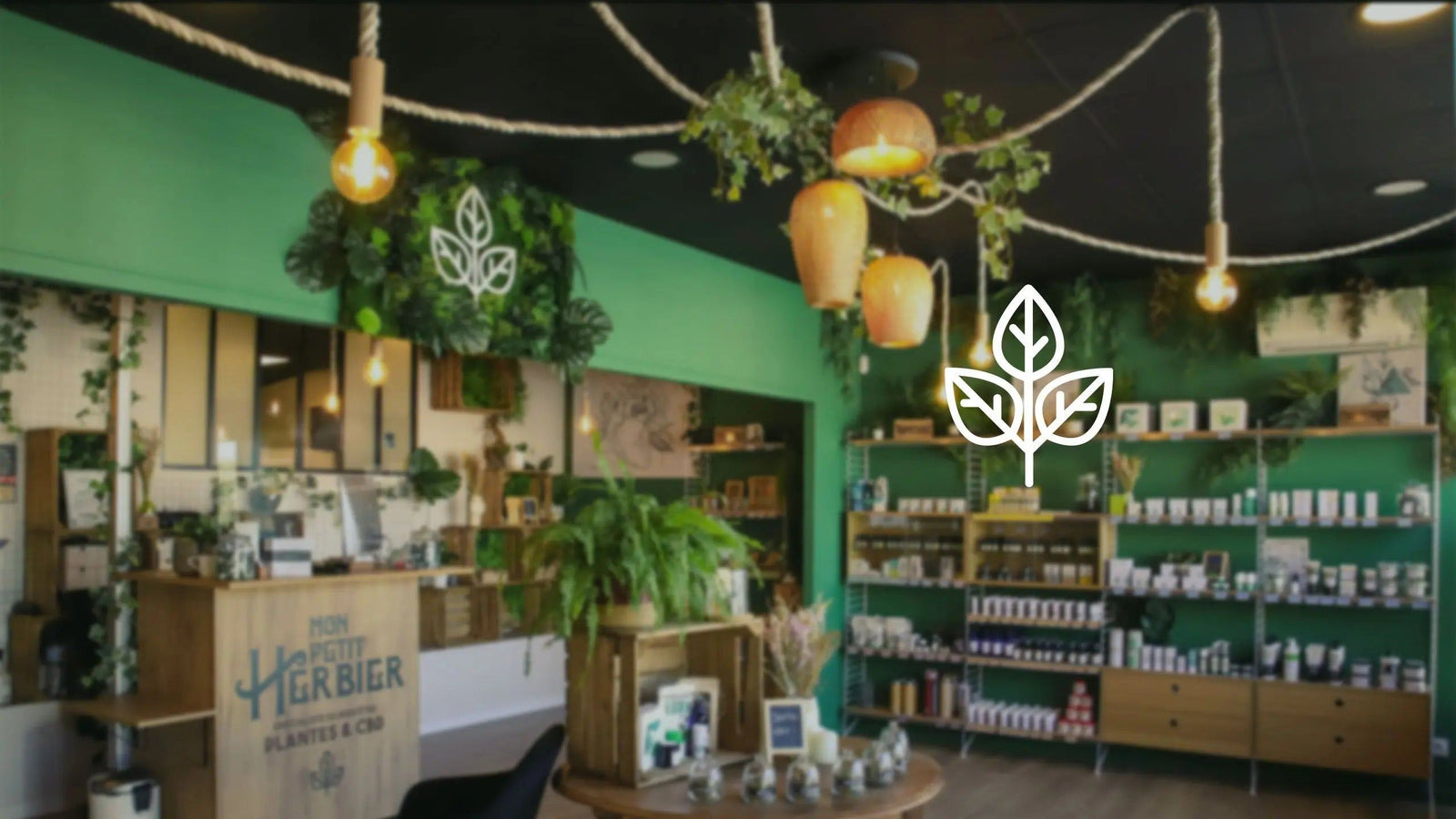 CBD : soulager les douleurs articulaires - Mon Petit Herbier