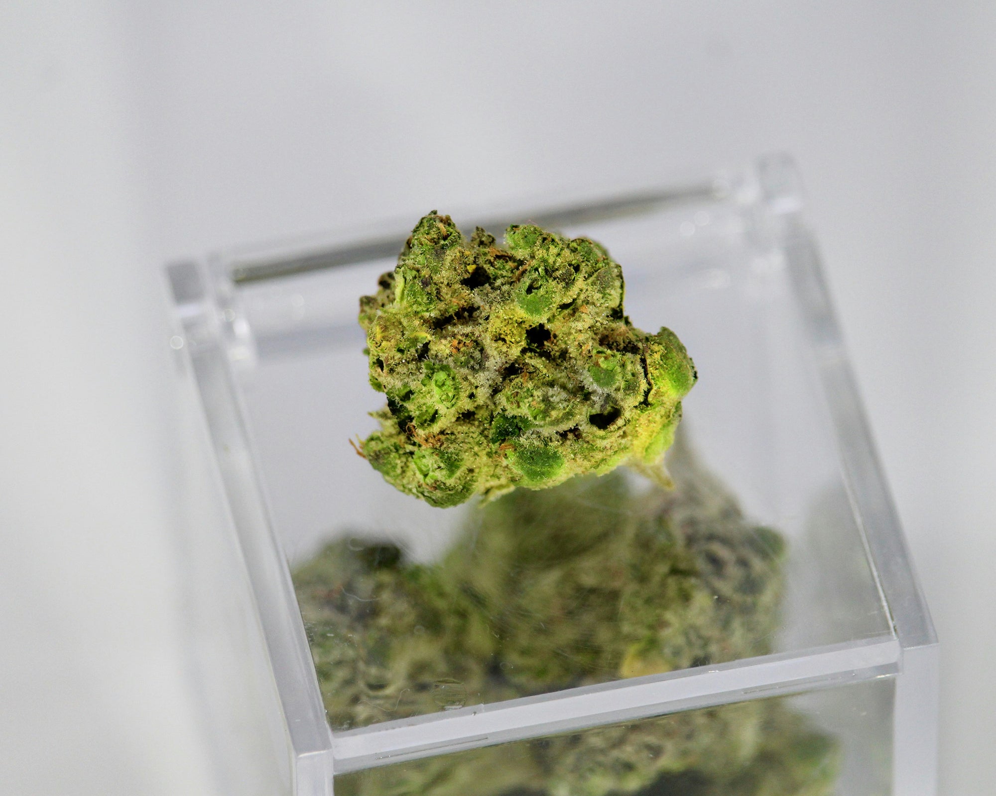 Les Contre-Indications du CBD : Éclaircissements - Mon Petit Herbier