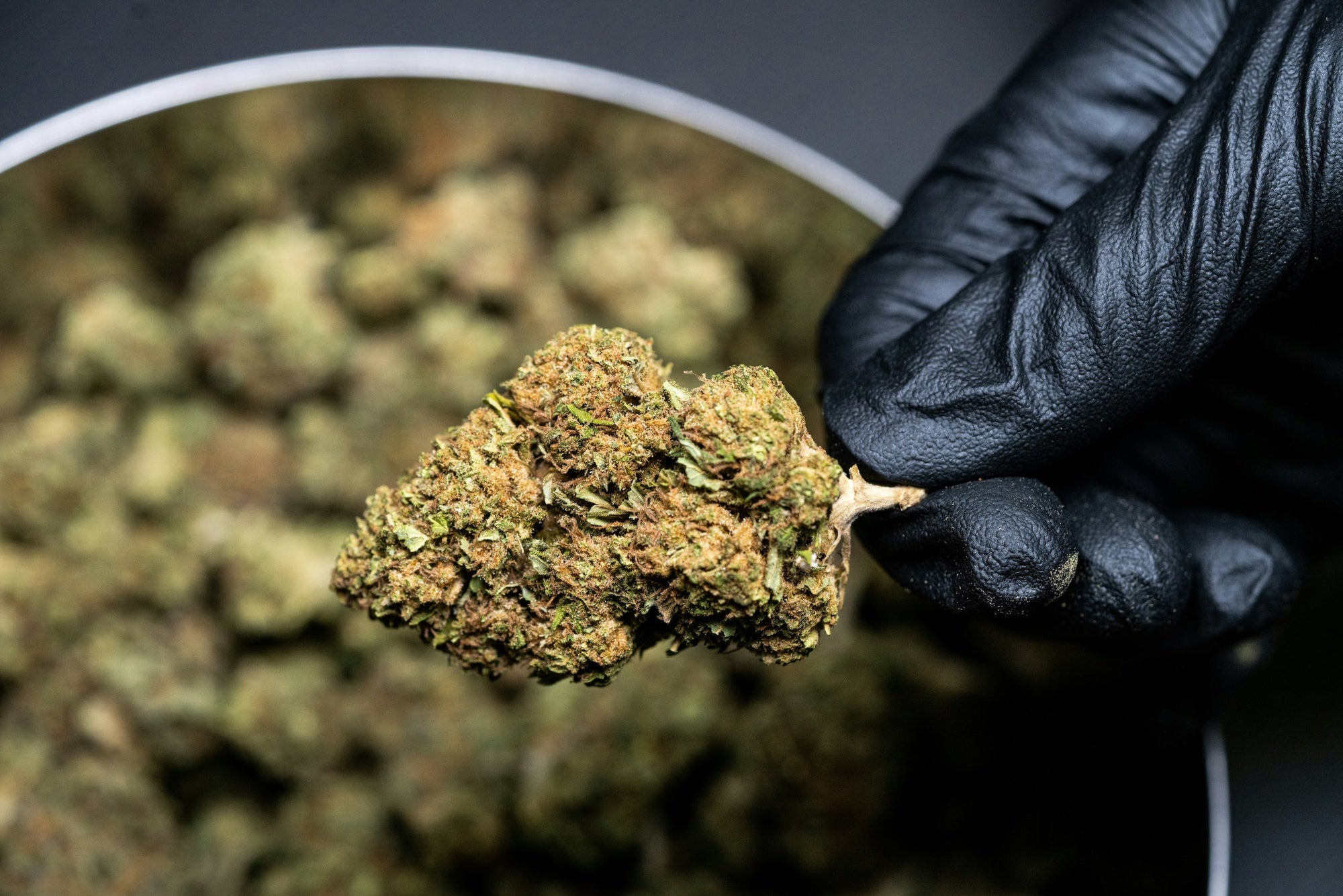 Le guide ultime pour dénicher du CBD de qualité ! - Mon Petit Herbier
