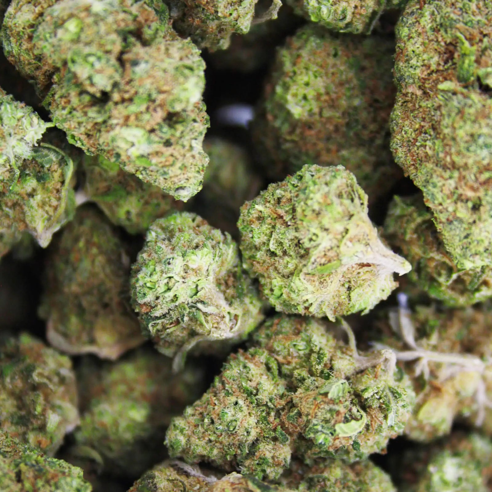 Fleur CBD 2% Amnesia Haze en Vrac - Indoor - Mon Petit Herbier