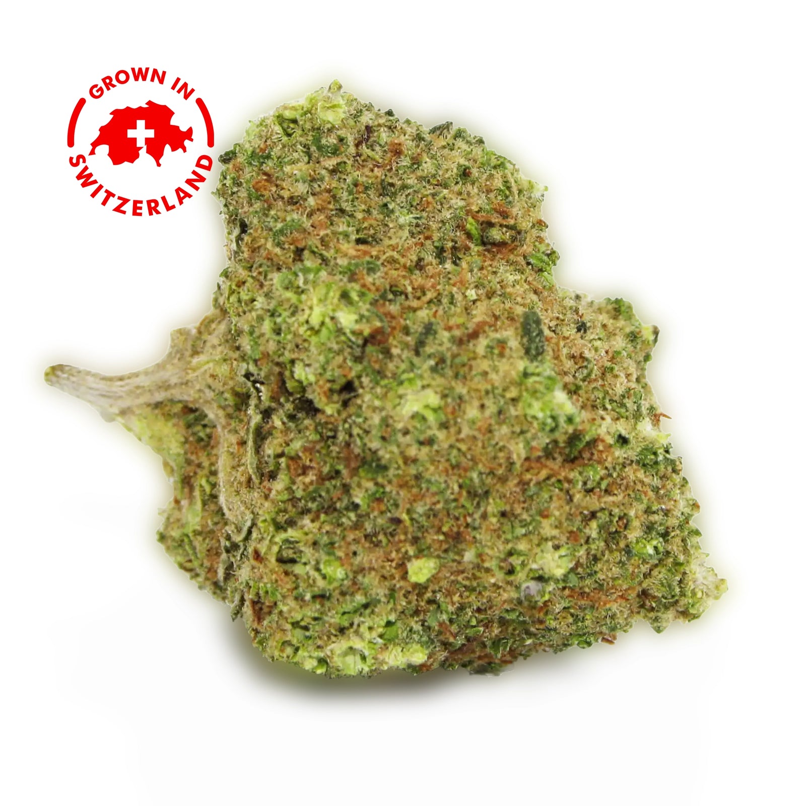 Fleur CBD 2% Amnesia Haze en Vrac - Indoor - Mon Petit Herbier