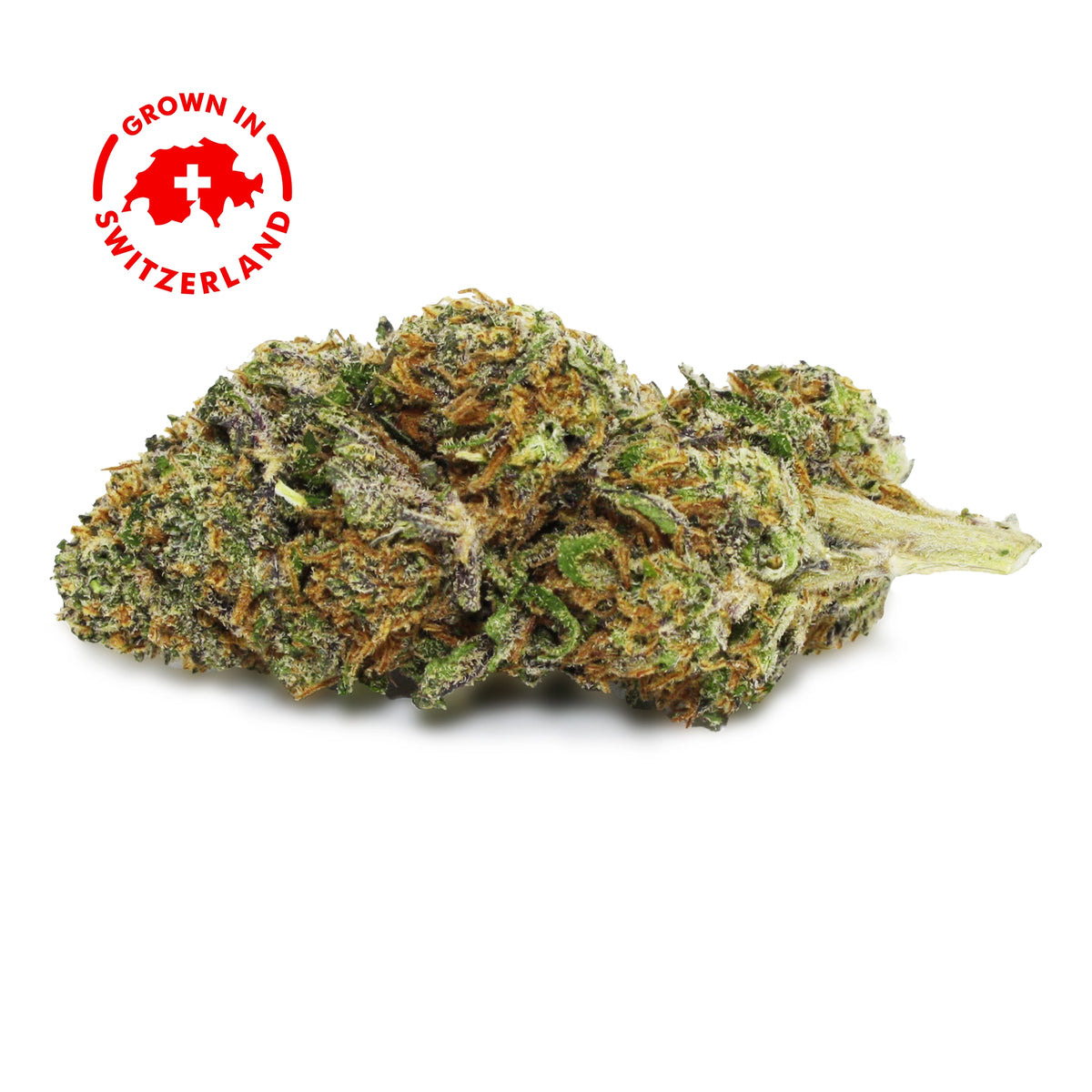 Fleur CBD 6% Blueberry Muffin - Indoor Hydro - Mon Petit Herbier