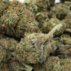 Thumbnail Fleur CBD 6% Blueberry Muffin en vrac - Indoor Hydro - Mon Petit Herbier