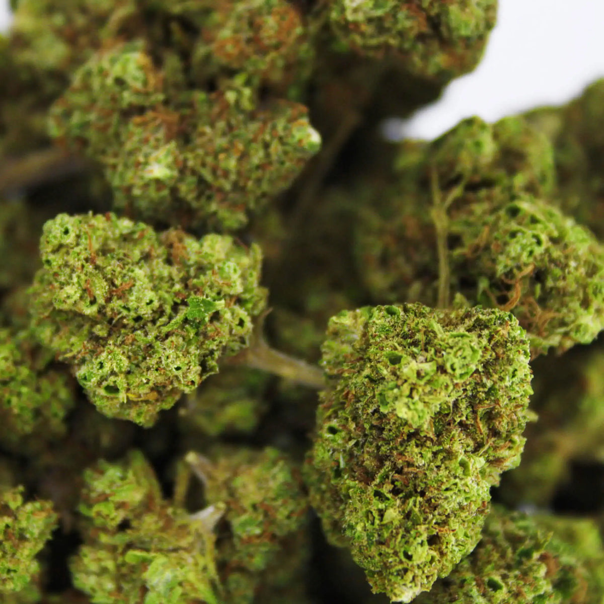 Fleur CBD 5% Critical Haze en Vrac - Out Door - Mon Petit Herbier