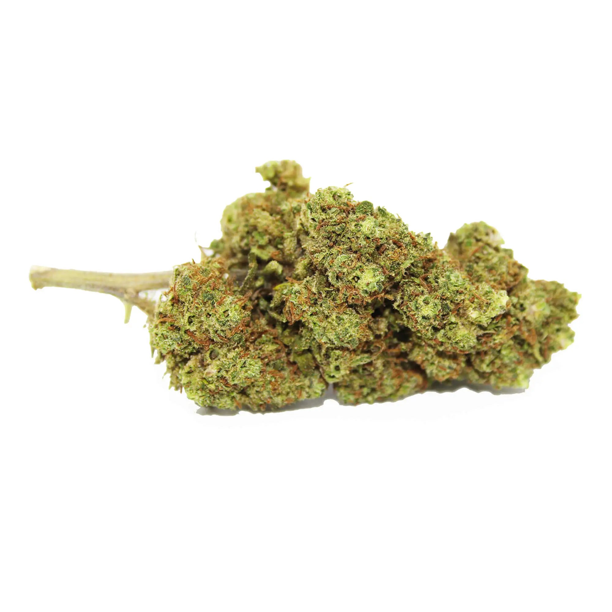 Fleur CBD 5% Critical Haze en Vrac - Green House - Mon Petit Herbier
