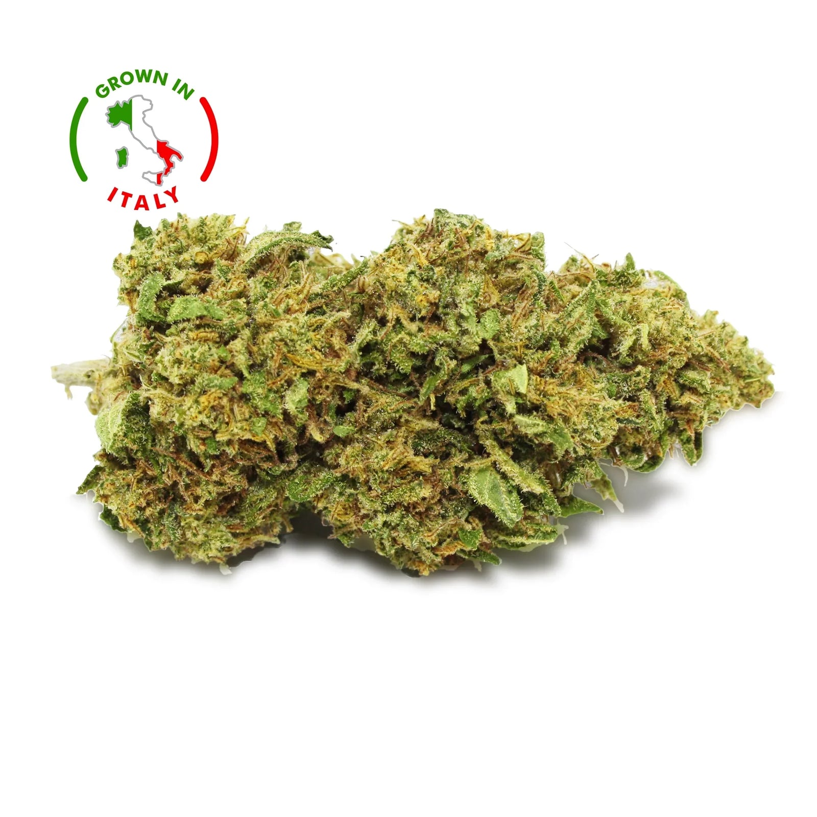 Fleur CBD Berry Buddha zoom - Green House