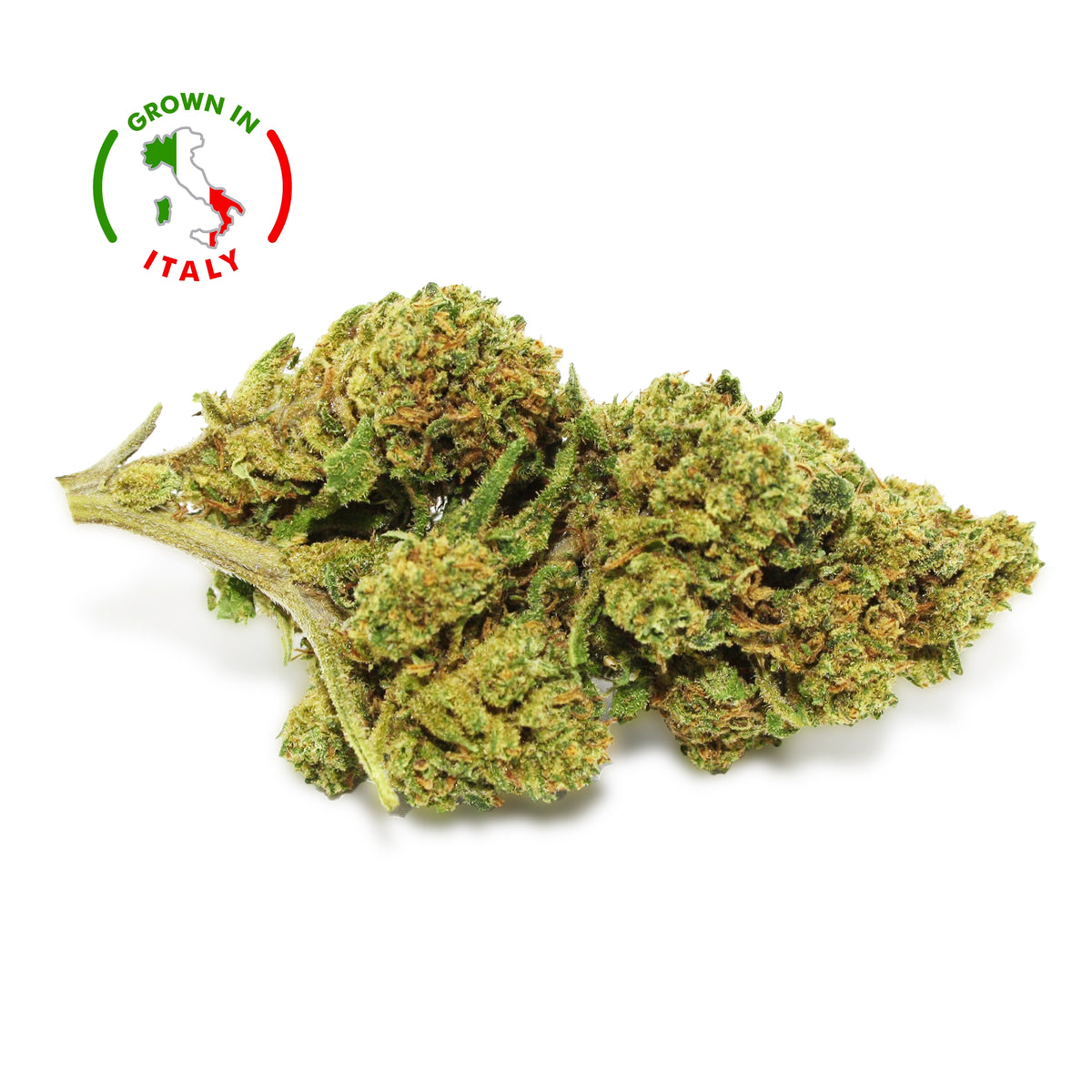 Fleur CBD Peach Buddha - Green House - Mon Petit Herbier