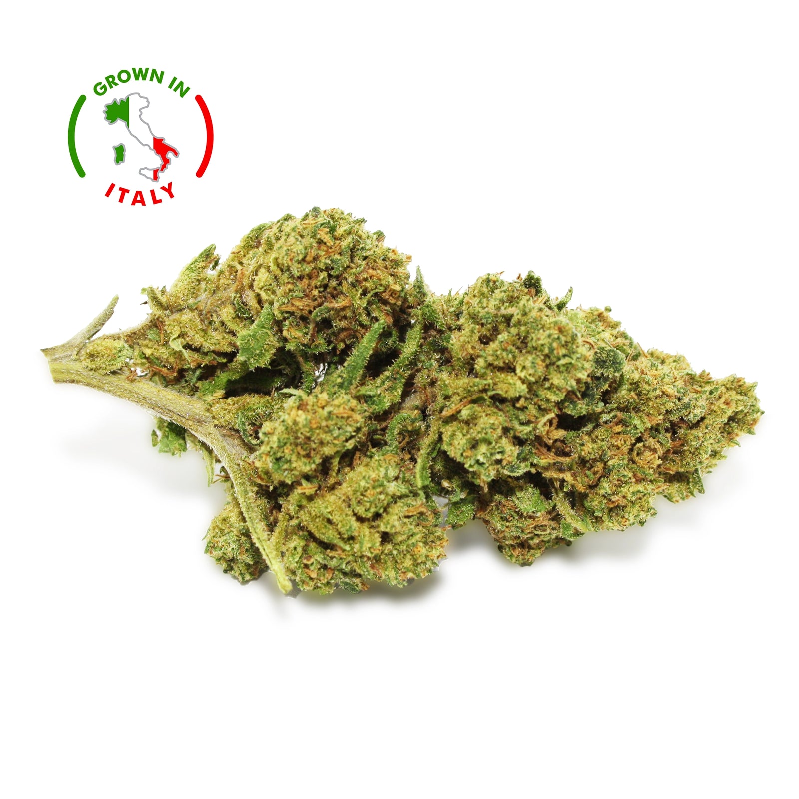 Fleur CBD Peach Buddha zoom - Green House - Mon Petit Herbier