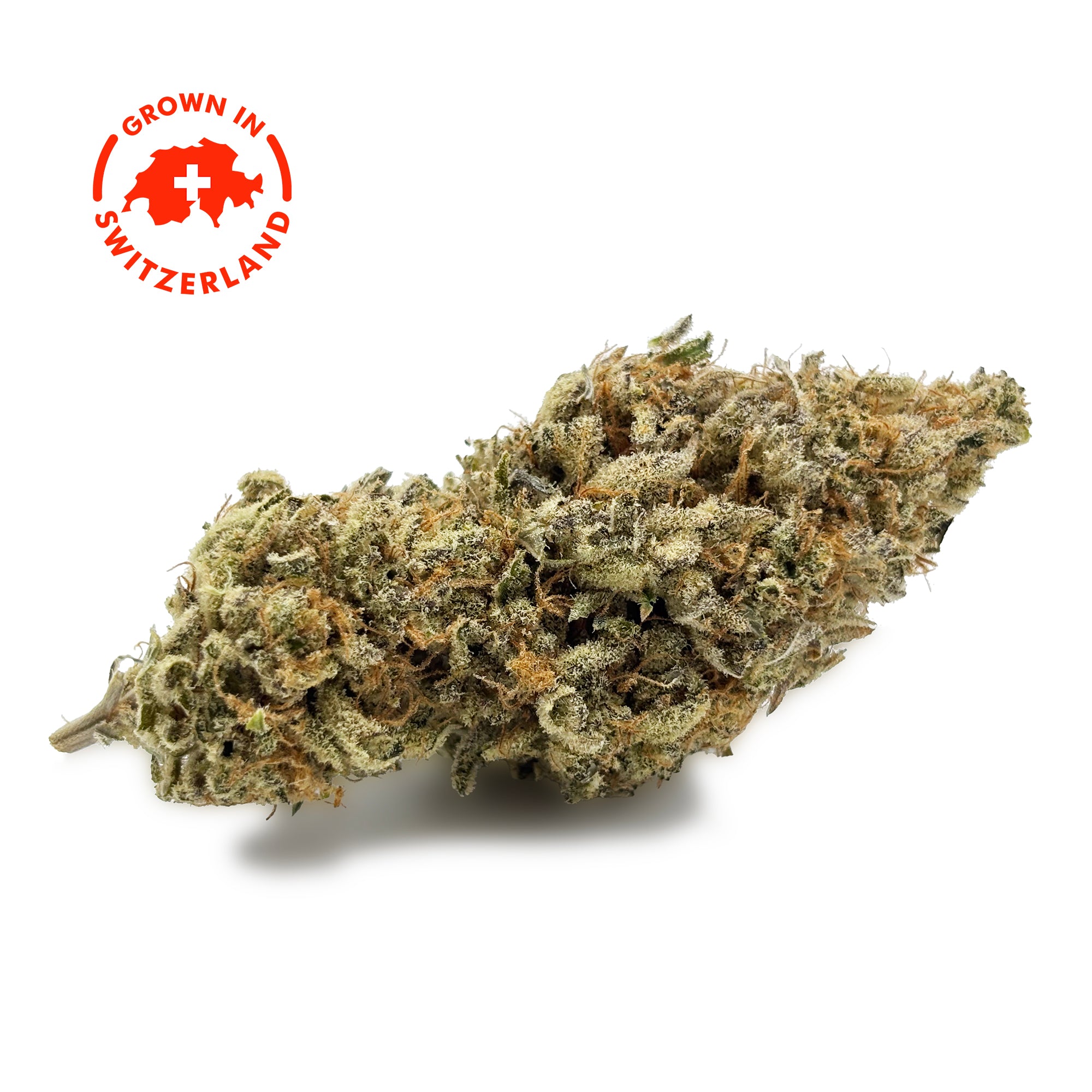 Zoom Fleur CBD 18% Dark Saphir en Vrac - Indoor - Mon Petit Herbiera