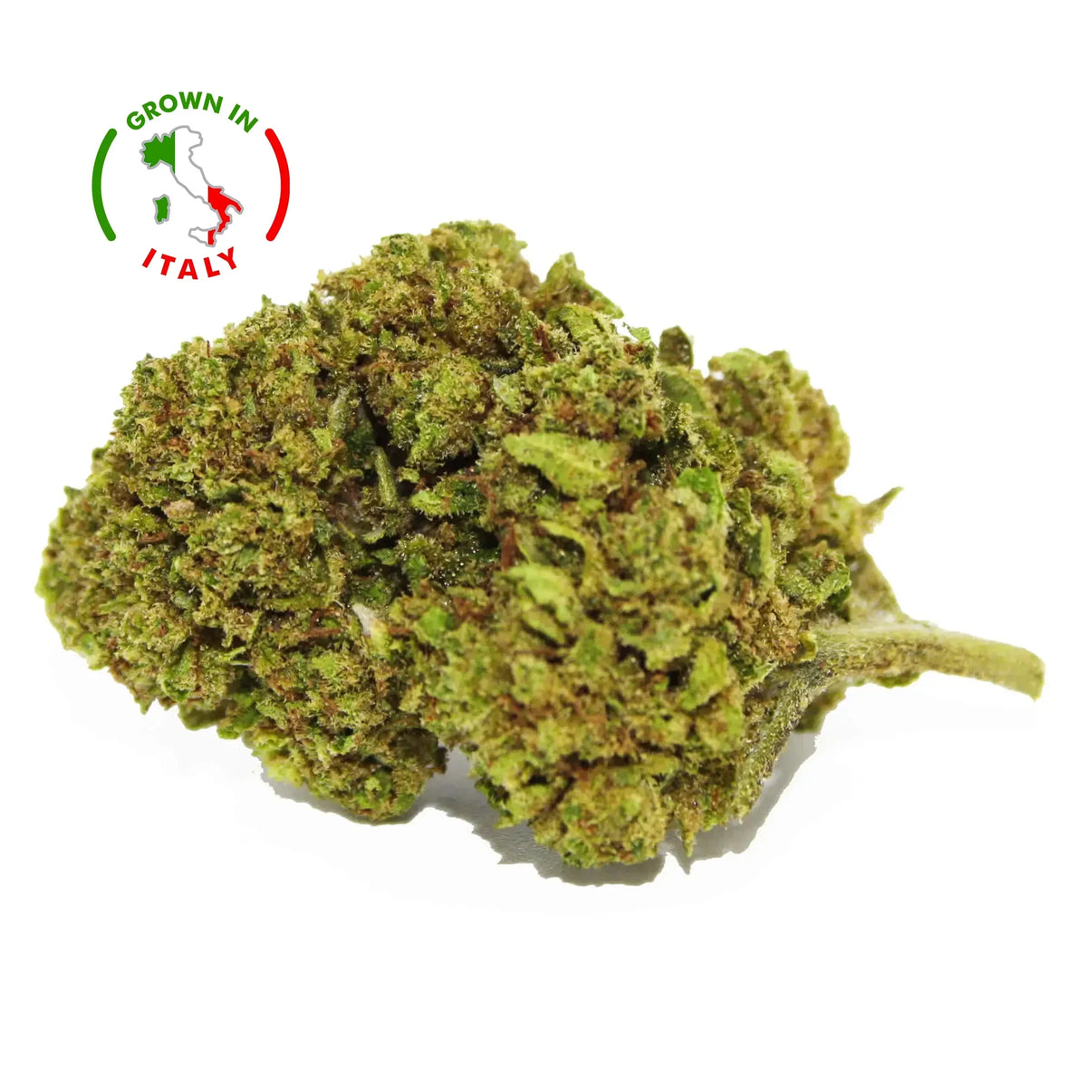 Fleur CBD 21% Purple Tonic en Vrac - Green House - Mon Petit Herbier