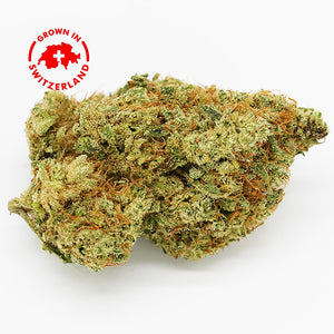 Thumbnail Zoom Fleur CBD 29% Blueberry Cheese en Vrac - Indoor - Mon Petit Herbier