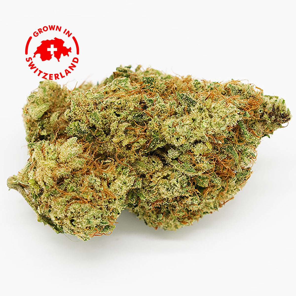 Fleur CBD 29% Blueberry Cheese en Vrac - Indoor - Mon Petit Herbier