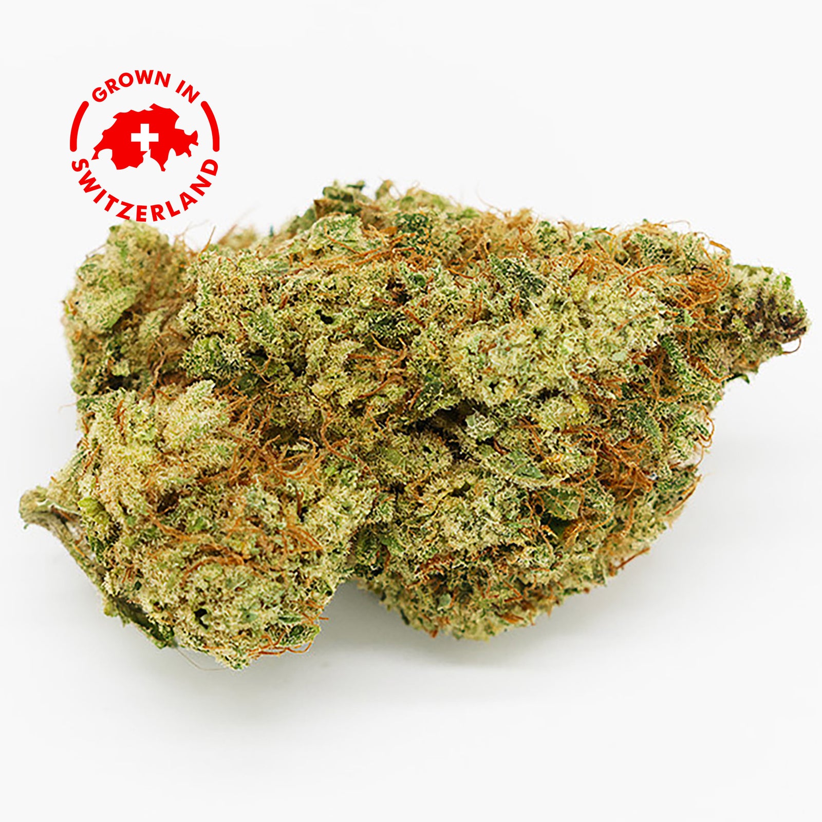 Zoom Fleur CBD 29% Blueberry Cheese en Vrac - Indoor - Mon Petit Herbier