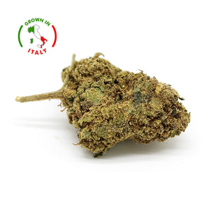 Thumbnail Zoom Fleur CBD 35% Mango Haze Puissante en Vrac - Green House