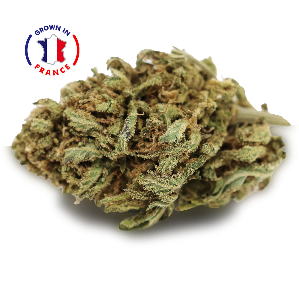 Fleur CBD Blue Lavande en Vrac - Green House - Mon Petit Herbier