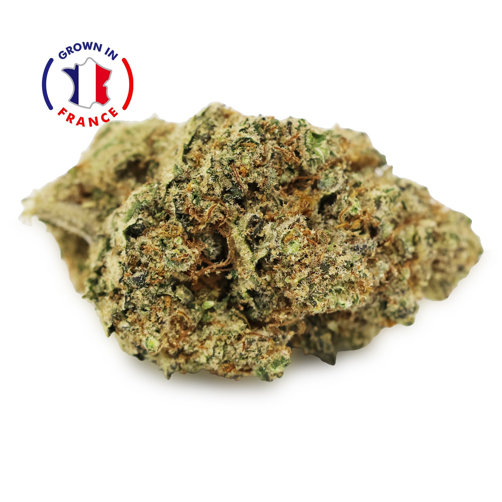 Zoom Fleur CBD Lemon Grace en Vrac - Indoor