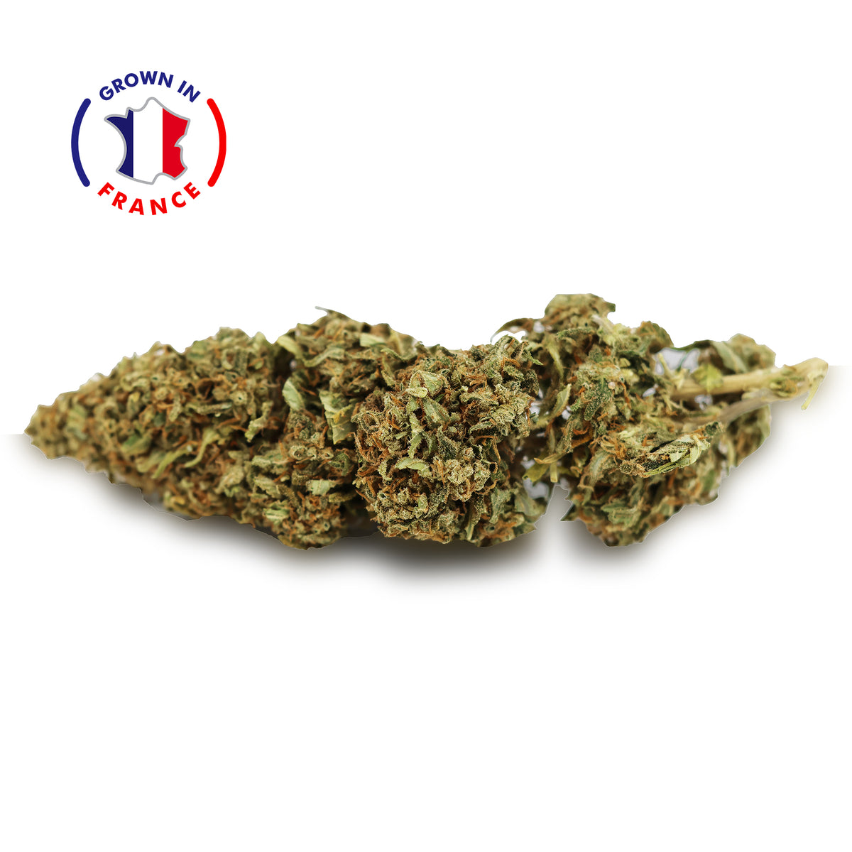 Fleur CBD Mango en Vrac - Green House - Mon Petit Herbier