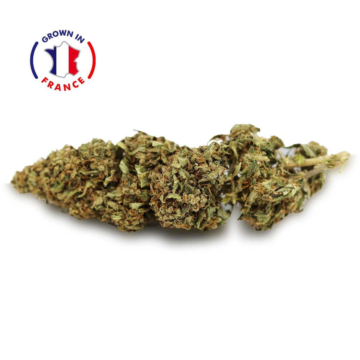 Fleur CBD Mango en Vrac - Green House - Mon Petit Herbier