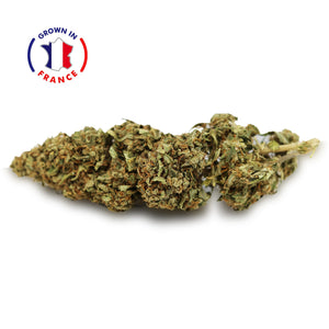 Thumbnail Zoom Fleur CBD Mango en Vrac - Green House