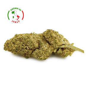 Thumbnail Zoom Fleur CBD Peter Pan CBN+ Puissante 💥en Vrac - Indoor - Mon Petit Herbier