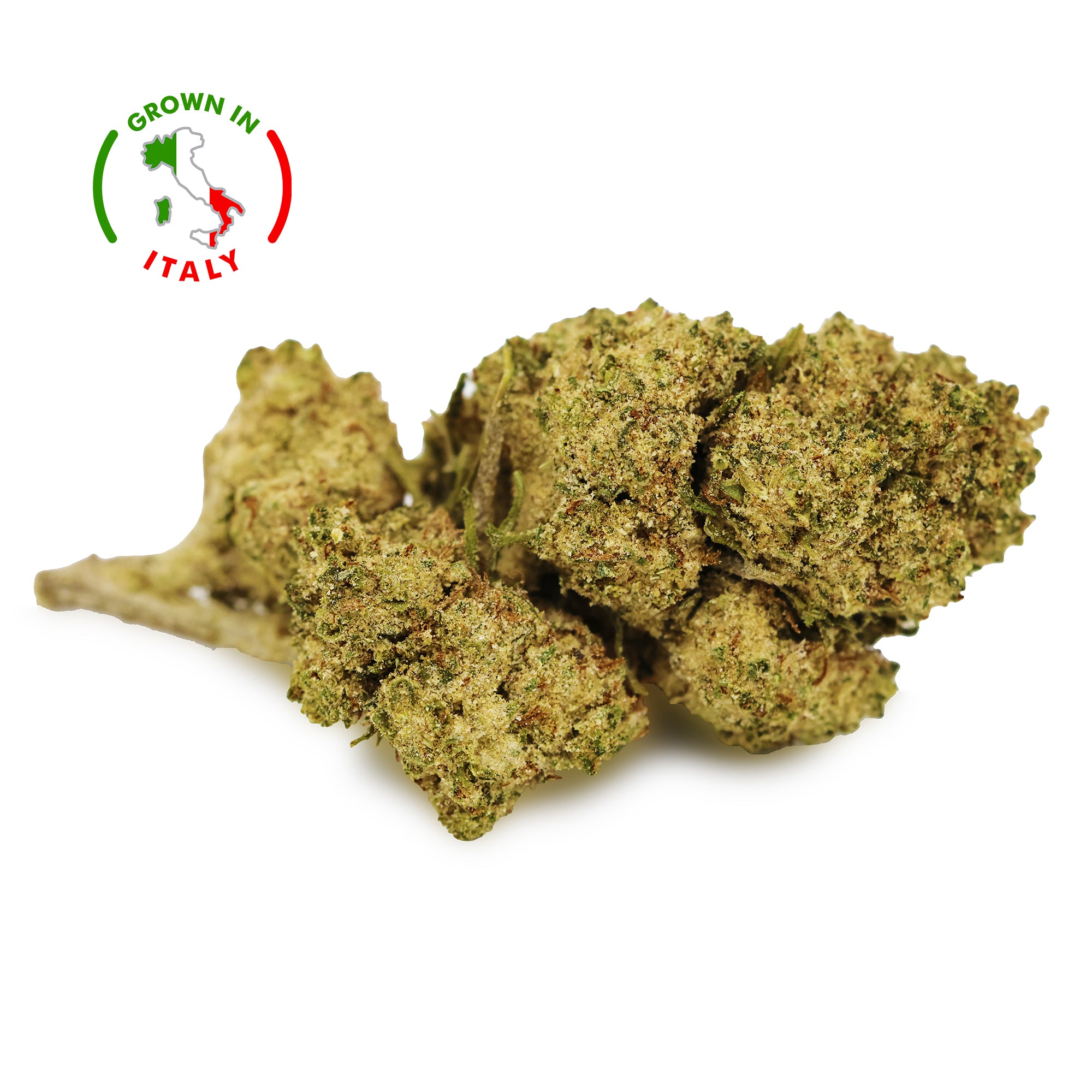 Zoom Fleur Cookie Dough CBN+ Puissante 💥en Vrac - Indoor - Mon Petit Herbier