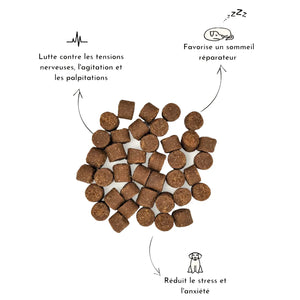 Thumbnail Focus Complément anti-stress - Truffe délice - Mon Petit Herbier