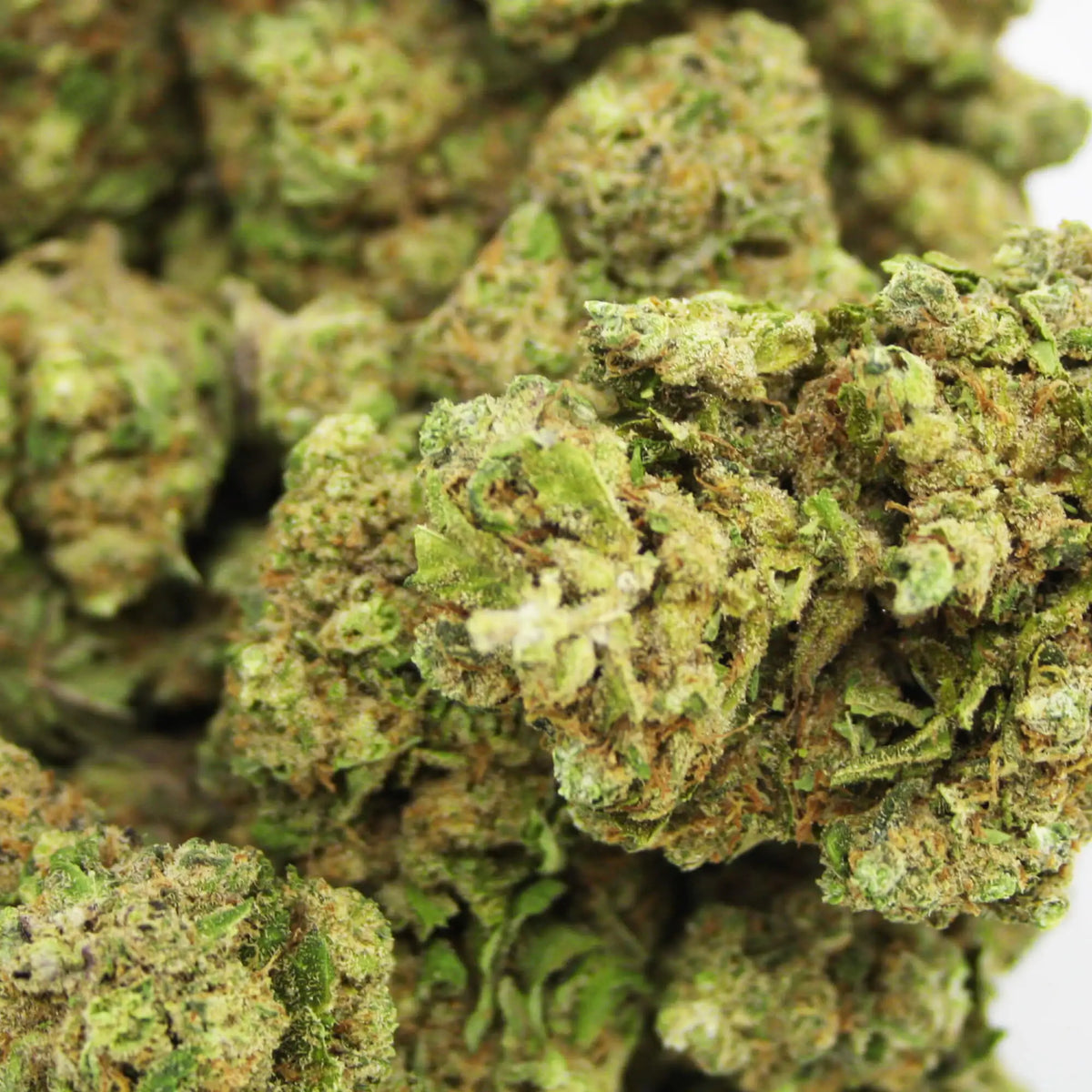 Fleur CBD 11% G13 Haze en Vrac - Indoor - Mon Petit Herbier