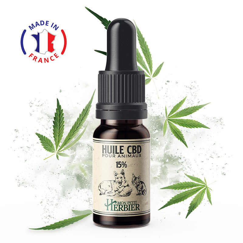 Huile CBD Pour Animaux 15% avec un chien - Mon Petit Herbier