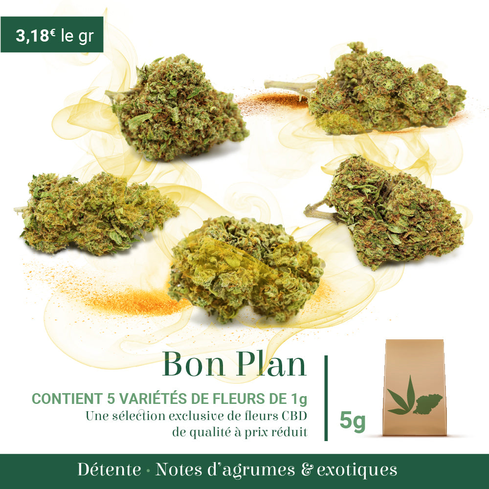 Fleur CBD 19% Orange Buddha en Vrac - Green House - Mon Petit Herbier