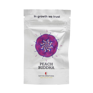 Thumbnail 3 Graines CBD - Peach Buddha - Mon Petit Herbier