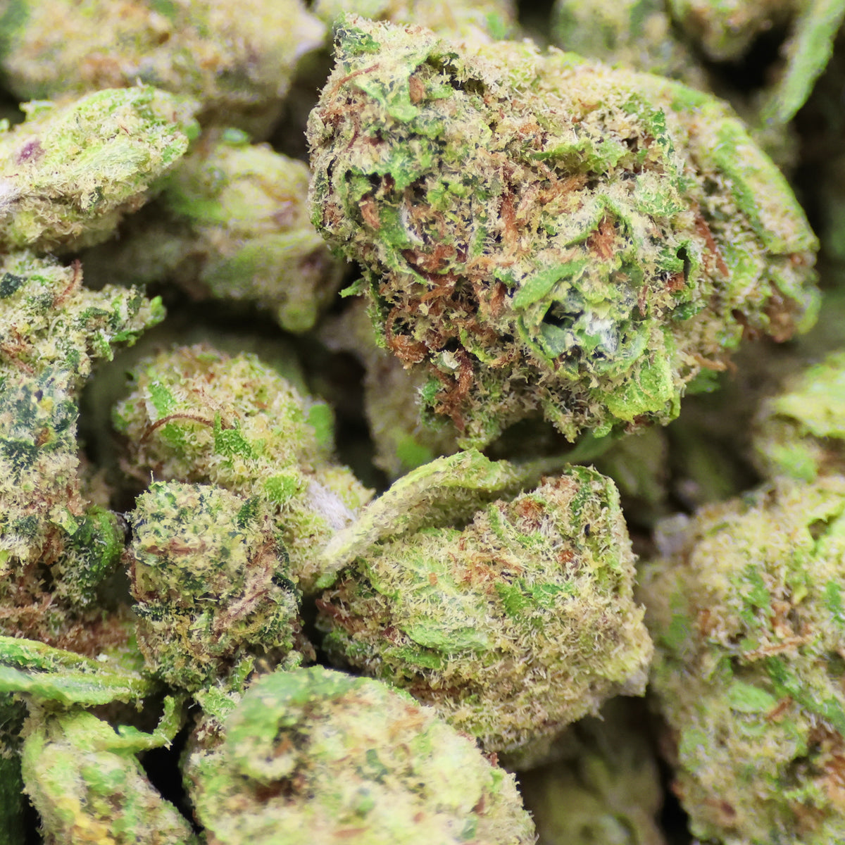 Ultra Focus Fleur CBD Small Buds en Vrac - Indoor Hydro - Mon Petit Herbier