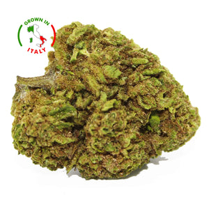 Thumbnail Pochon Fleur CBD 4% Tropicale Haze en Vrac - Green House - Mon Petit Herbier