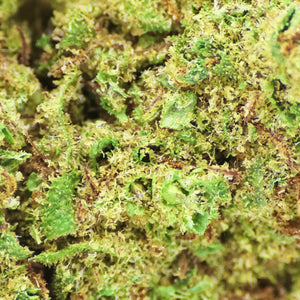 Thumbnail Fleur CBD Tropicana en Vrac - Indoor - Mon Petit Herbier