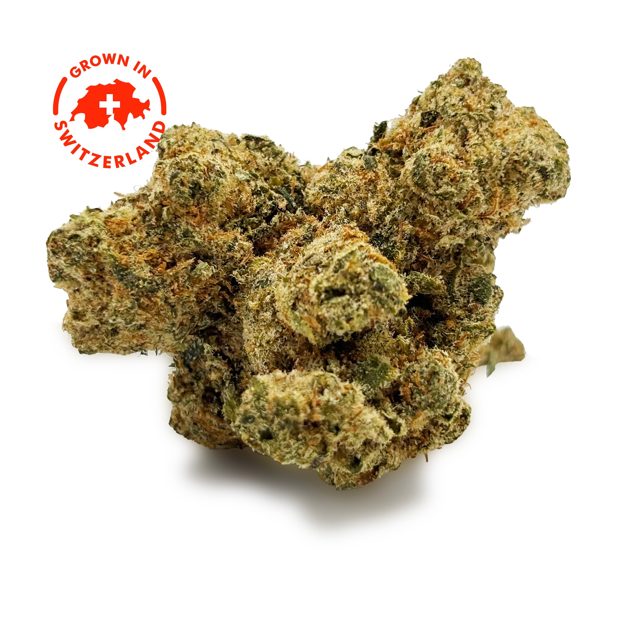 Zoom Fleur CBD 30% Weedy Wonka Puissante💥 - Indoor - Mon Petit Herbier