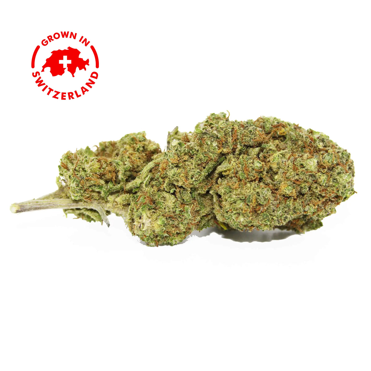 Fleur CBD 4% White Widow en Vrac - Indoor - Mon Petit Herbier