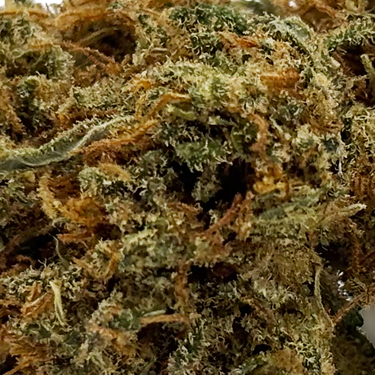 Zoom Fleur CBD 18% Lemon Diesel en Vrac - Green House - Mon Petit Herbier