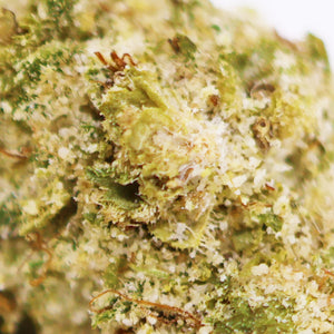 Thumbnail Zoom Fleur CBD Peter Pan CBN+ Puissante 💥en Vrac - Indoor - Mon Petit Herbier