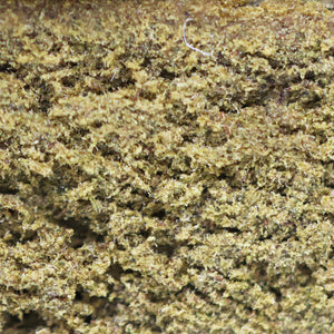 Thumbnail Zoom Résine CBD Honey Hash Gaz - Mon Petit Herbier