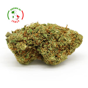 Thumbnail Zoom Fleur CBD 27% Jack Herrer en Vrac - Indoor Hydro