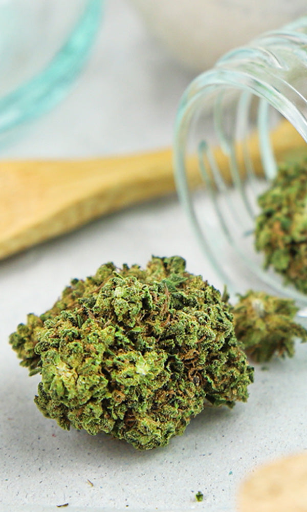 Slider fleurs CBD version mobile - Mon Petit Herbier